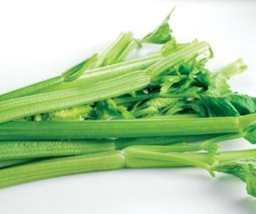 zubar u zagrebu celer